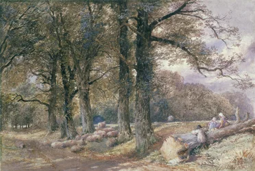 Children Sitting on Tree Trunk